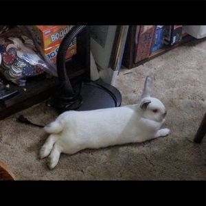 Meet your Posher, Parwati